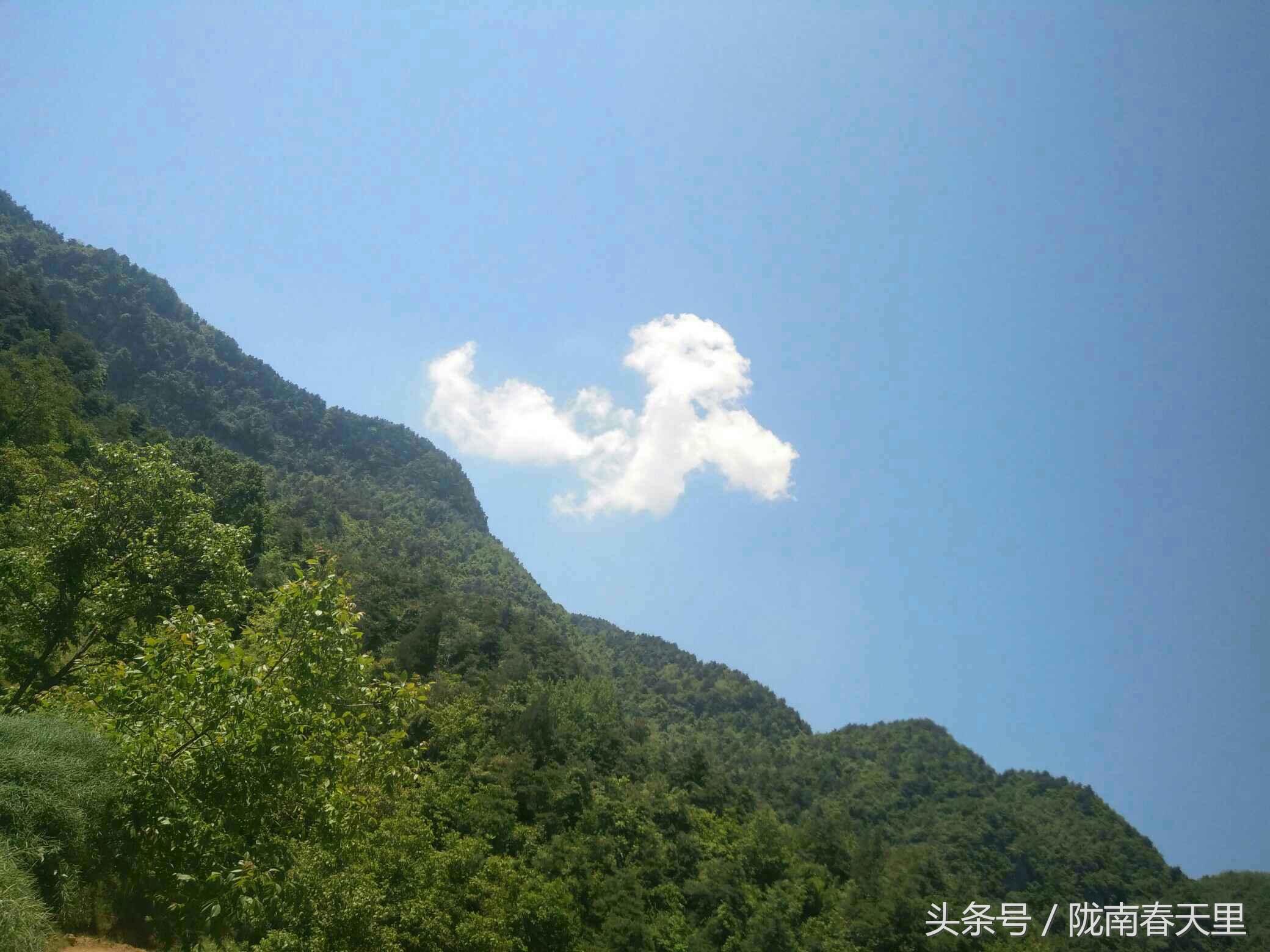 地方新闻 第166页