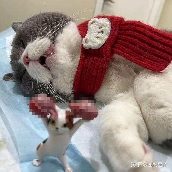娱乐生活 第152页